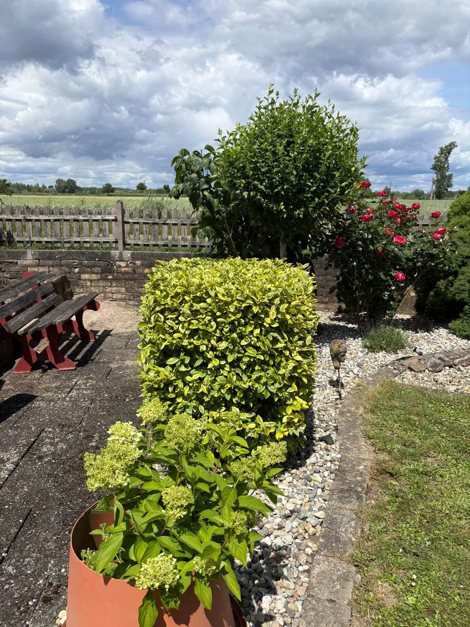 Eindruck unserer Gartenarbeit