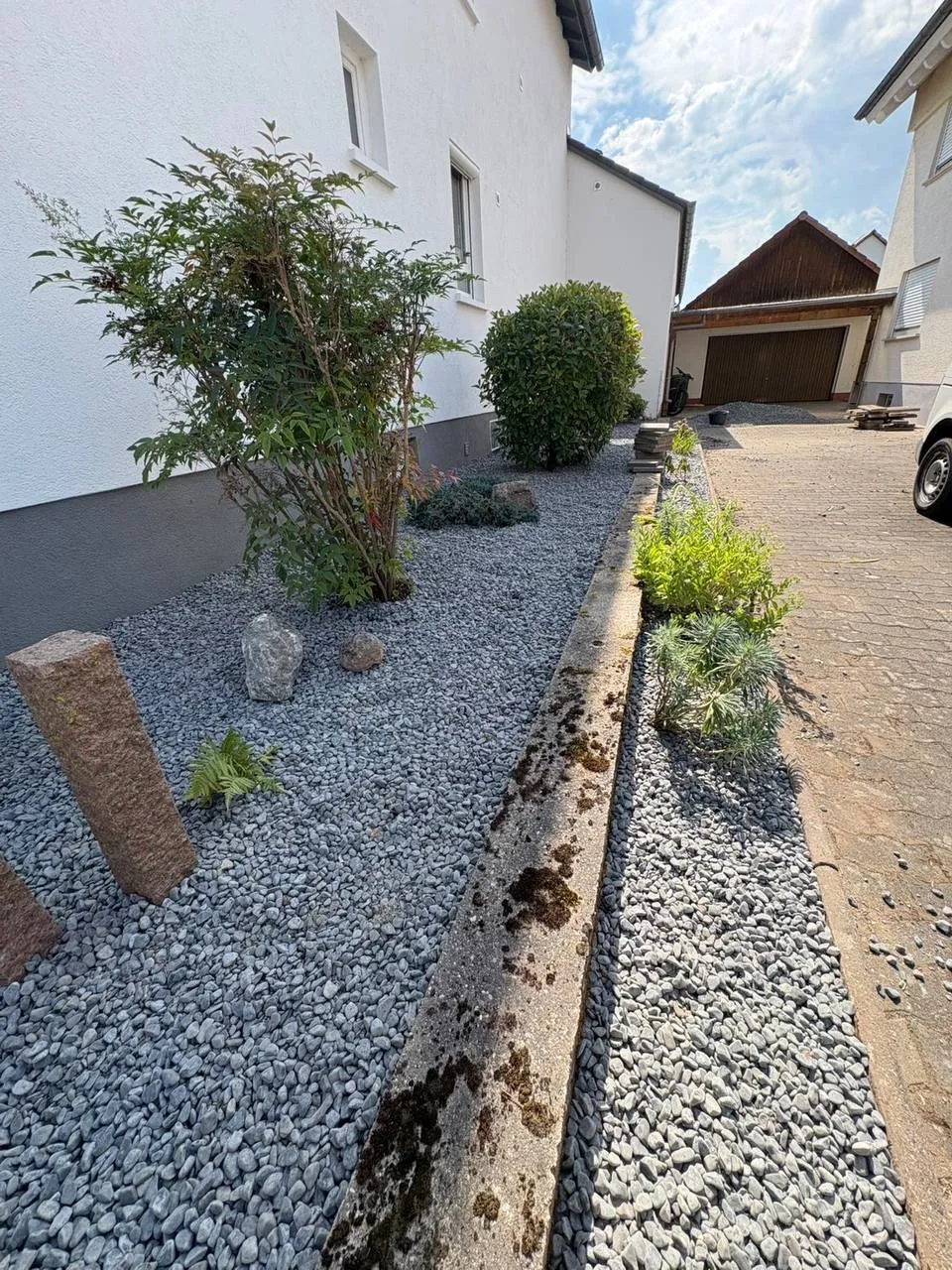 Beetpflege & Bepflanzung