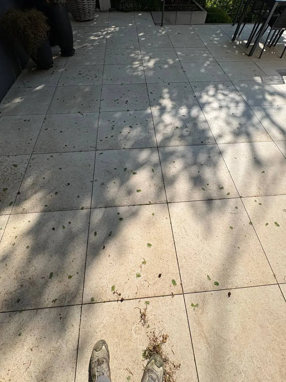Vorher: Terrasse nach der Hochdruckreinigung
